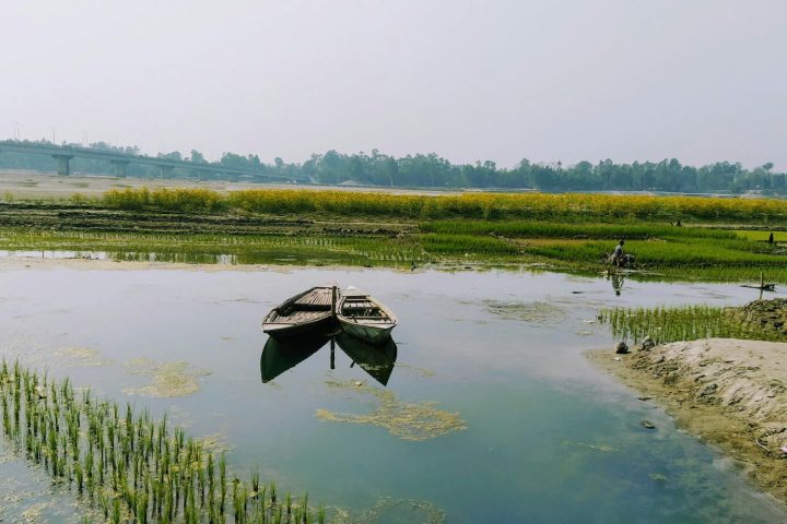 জলাভূমিতে ছোট কাঠের নৌকা