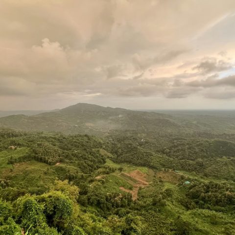 সন্ধ্যায় বনাচ্ছাদিত পাহাড়