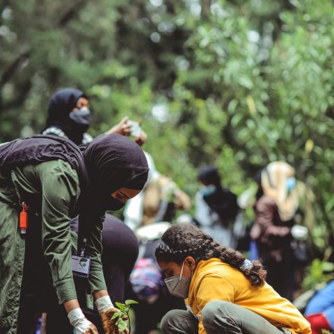 একসাথে চারা রোপণ করছেন স্বেচ্ছাসেবকেরা